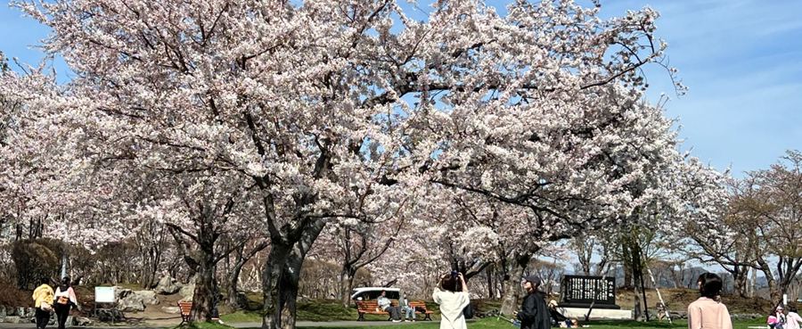 戸田記念墓地公園